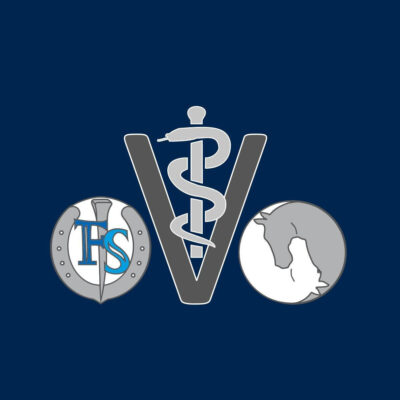 Logo blau EquiBalance