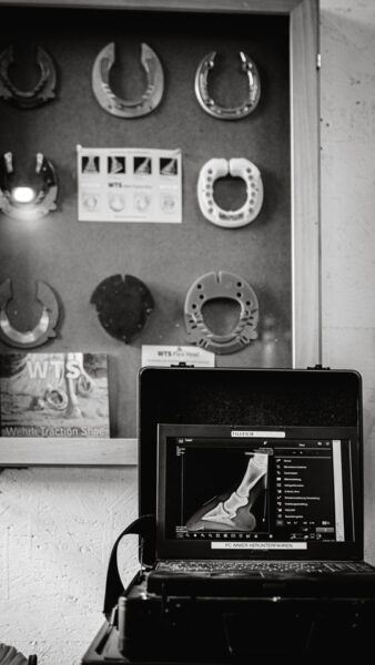 Digitale Röntgenaufnahme Hufbein EquiBalance