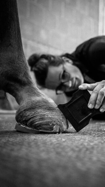 Julia Sack EquiBalance prüft die Hufstellung eines Pferdes
