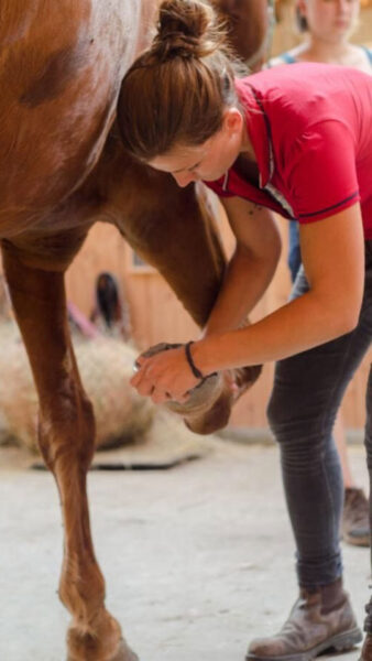 Julia Sack arbeitet am Bein eines Pferdes