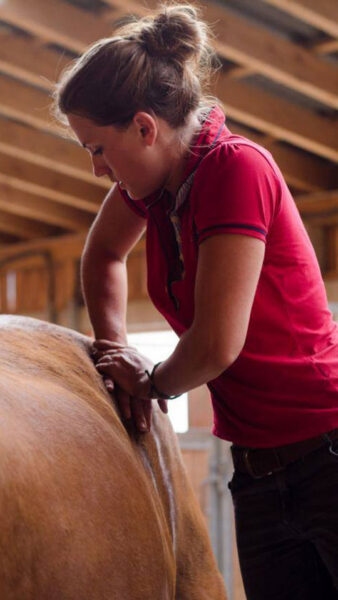 Julia Sack arbeitet am Becken eines Pferdes