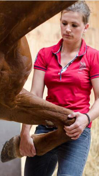 Julia Sack prüft die Beweglichkeit der Schulter eines Pferdes